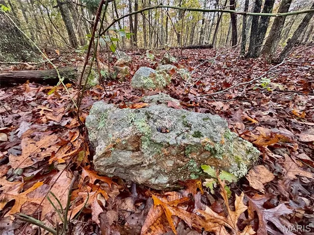 $64,900 | 4 County Road 4215, Salem, MO 65560