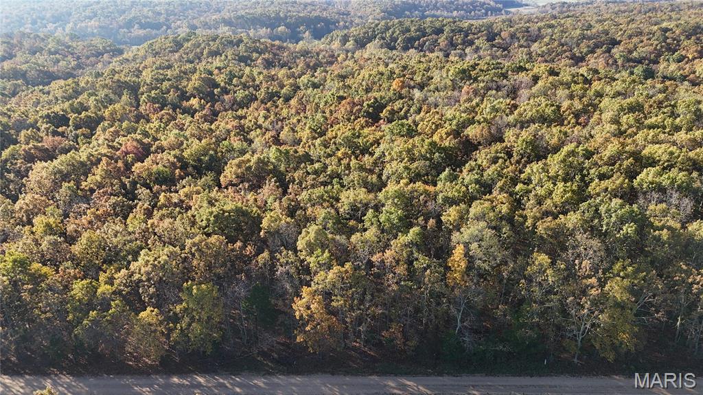 4 County Road 4215 Salem, MO 65560 - Photo 21 of 21