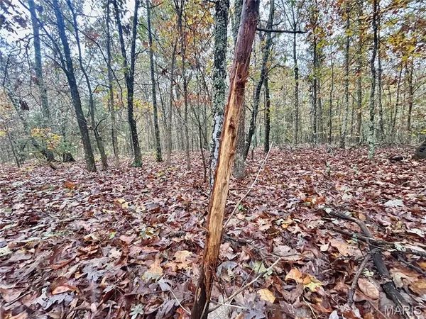 $61,900 | 4 County Road 4215, Salem, MO 65560