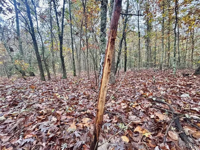 $64,900 | 4 County Road 4215, Salem, MO 65560