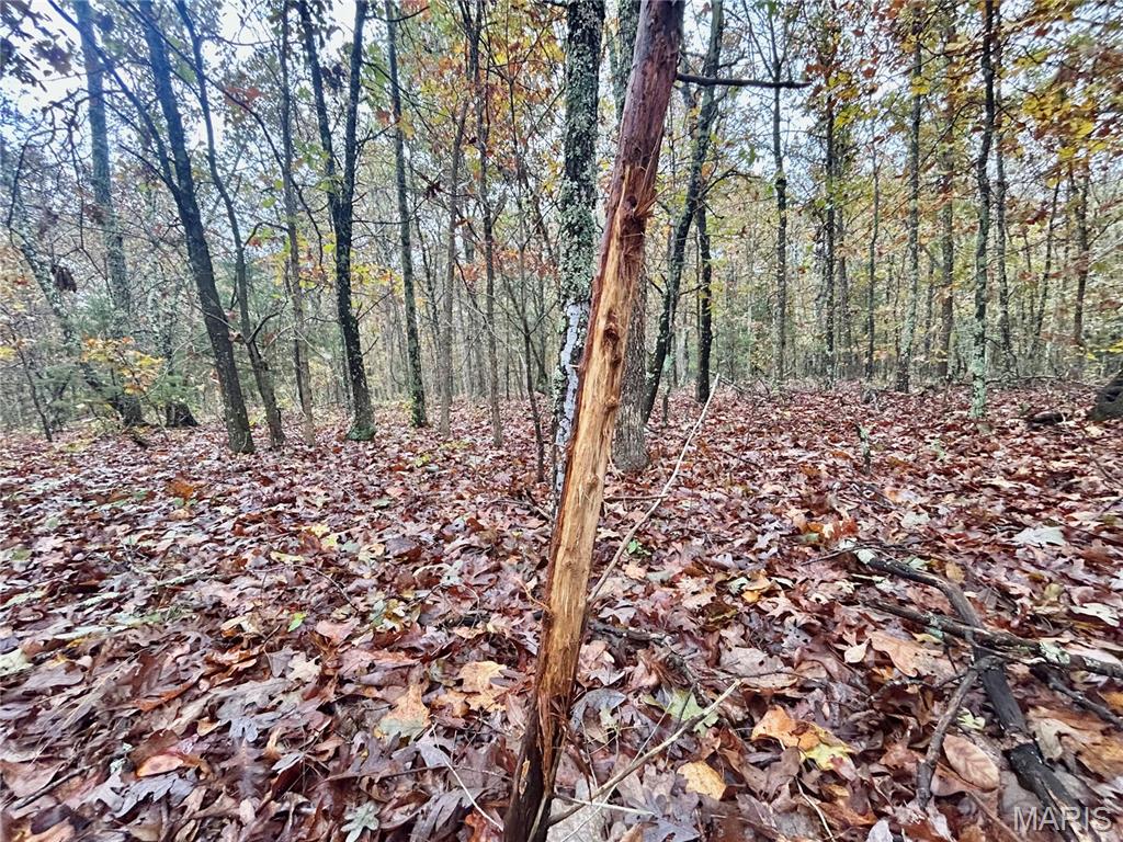 4 County Road 4215 Salem, MO 65560 - Photo 3 of 21