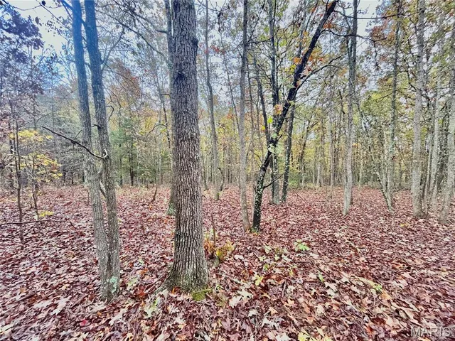 $64,900 | 4 County Road 4215, Salem, MO 65560