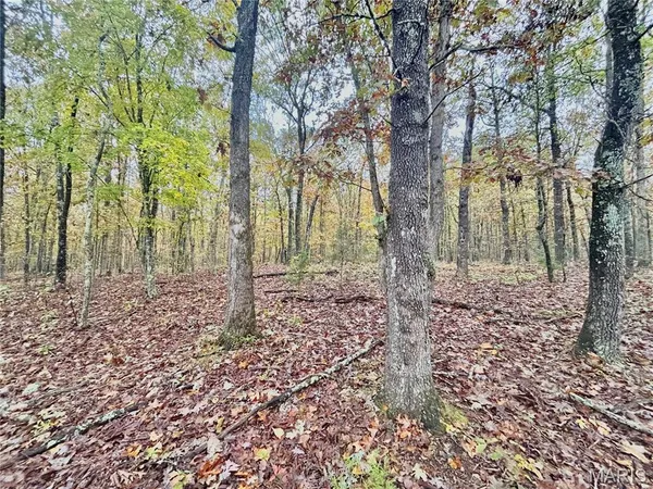 $61,900 | 4 County Road 4215, Salem, MO 65560