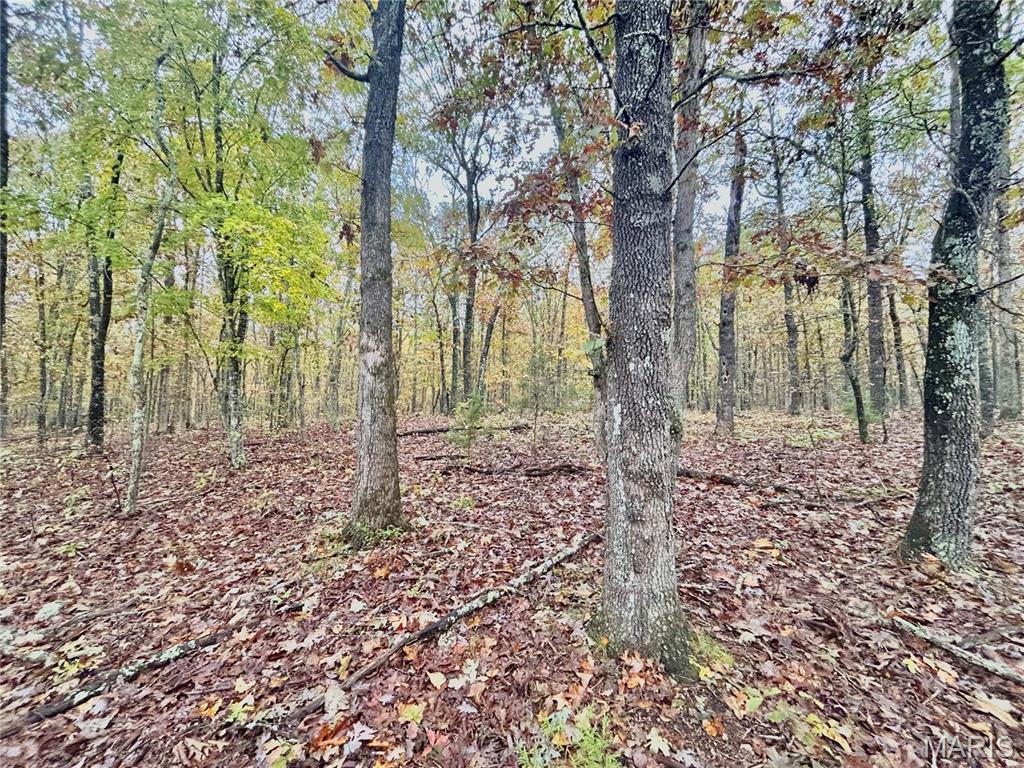 4 County Road 4215 Salem, MO 65560 - Photo 5 of 21