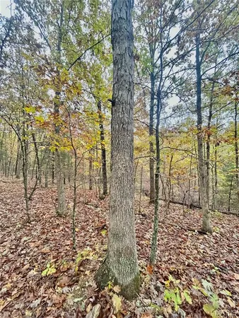 $61,900 | 4 County Road 4215, Salem, MO 65560