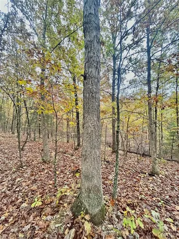 $64,900 | 4 County Road 4215, Salem, MO 65560