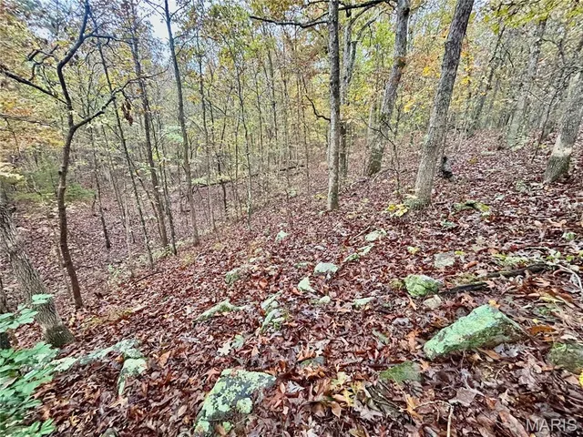 $64,900 | 4 County Road 4215, Salem, MO 65560