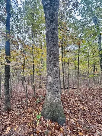 $61,900 | 4 County Road 4215, Salem, MO 65560