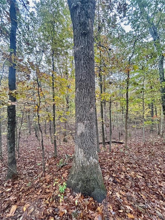 4 County Road 4215 Salem, MO 65560 - Photo 8 of 21