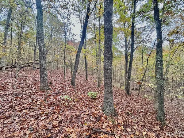 $61,900 | 4 County Road 4215, Salem, MO 65560