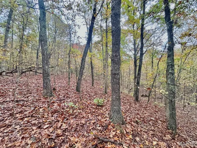 $64,900 | 4 County Road 4215, Salem, MO 65560