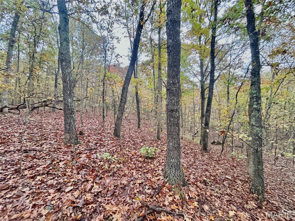 4 County Road 4215 Salem, MO 65560 - Photo 9 of 21