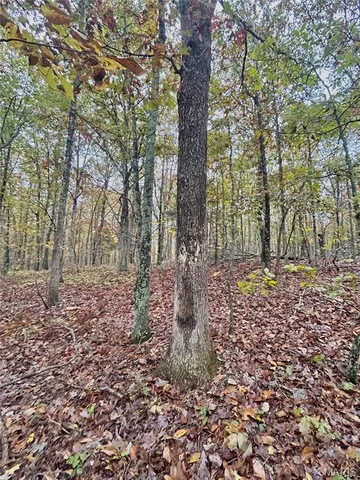 $64,900 | 4 County Road 4215, Salem, MO 65560