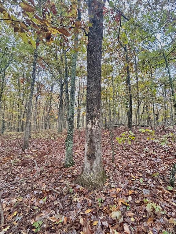 4 County Road 4215 Salem, MO 65560 - Photo 10 of 21