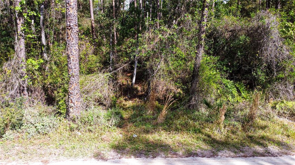 Quail Ranch Road New Smyrna Beach, FL 32168 - Photo 1 of 1 Gallery Image 1
