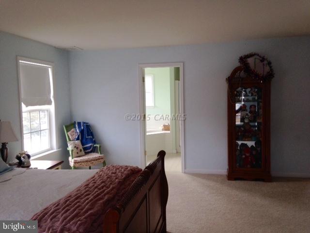 8950 Morgan's Ridge Delmar, MD 21875 - Photo 17 of 28