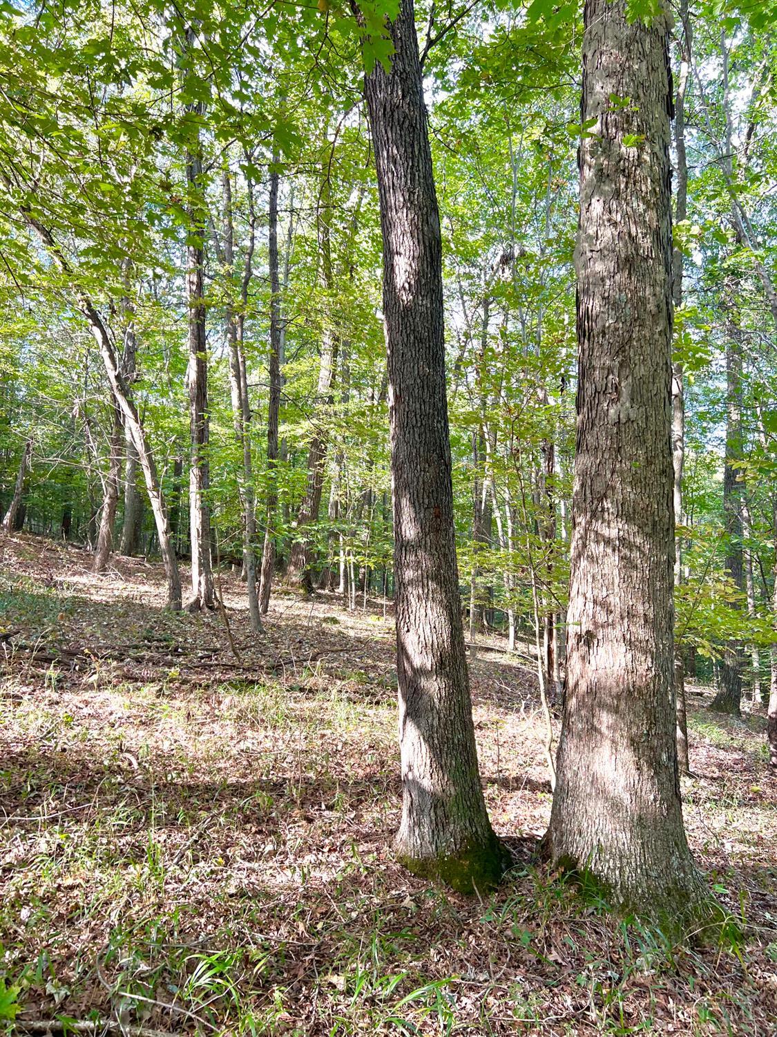 0 South Chenoweth Fork Road Piketon, OH 45661 - Photo 34 of 95