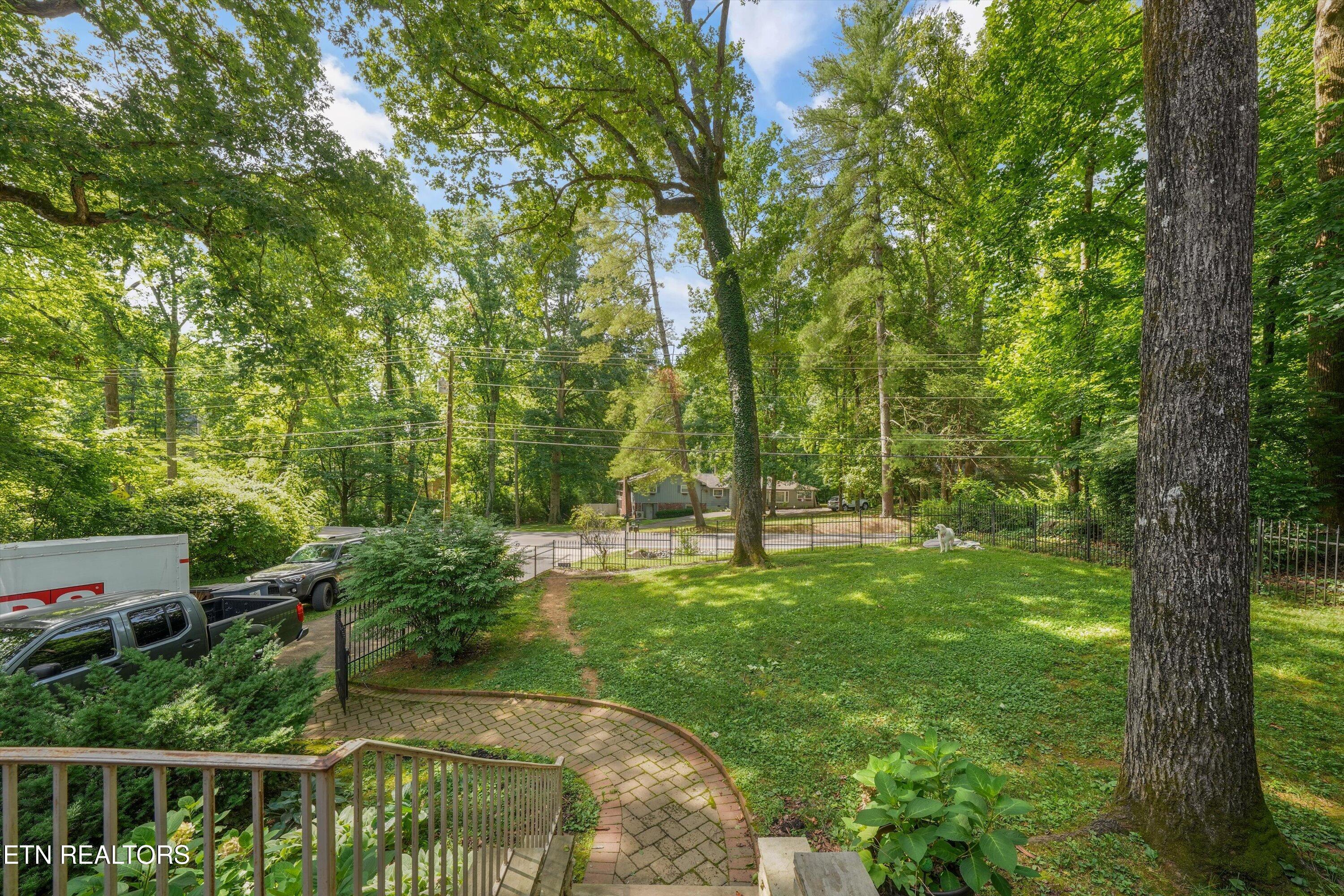 3107 Maloney Road Knoxville, TN 37920 - Photo 4 of 35 Front Yard