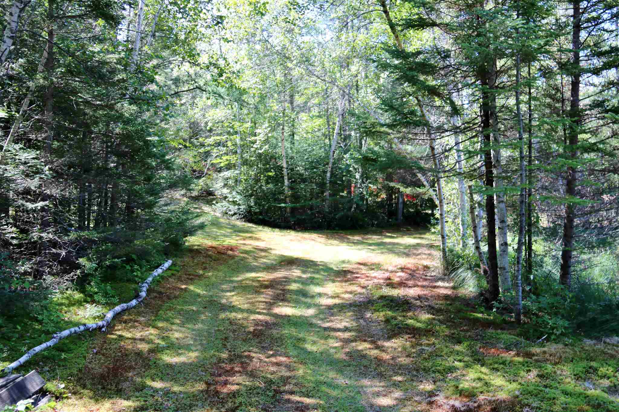 Spruceville Road Milan, NH 03588 - Photo 3 of 11