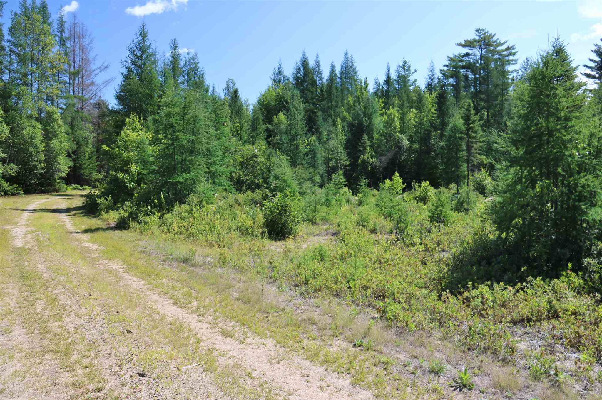 Spruceville Road Milan, NH 03588 - Photo 5 of 11