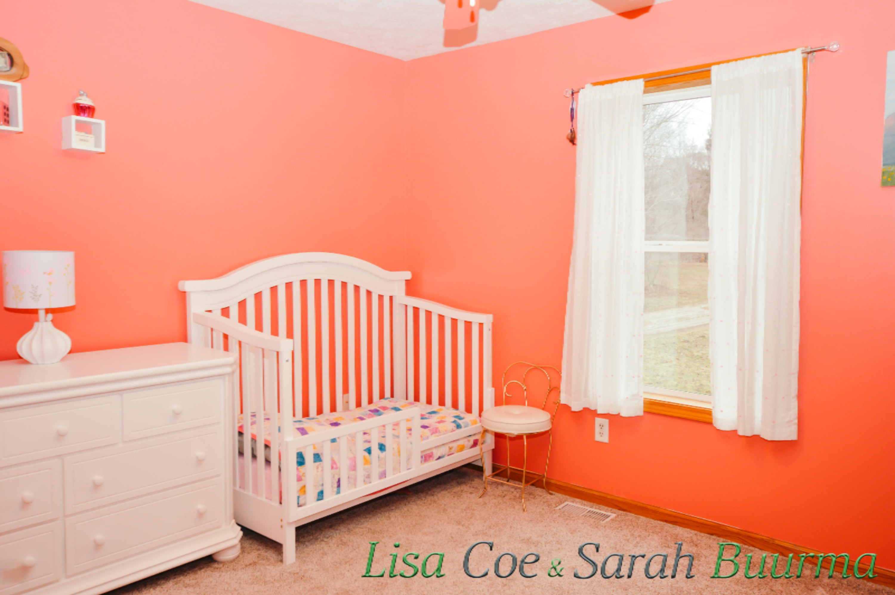 7053 Decker Road Orleans, MI 48865 - Photo 16 of 26 7503 Decker - Lisa Coe _ Sarah Buurma-33