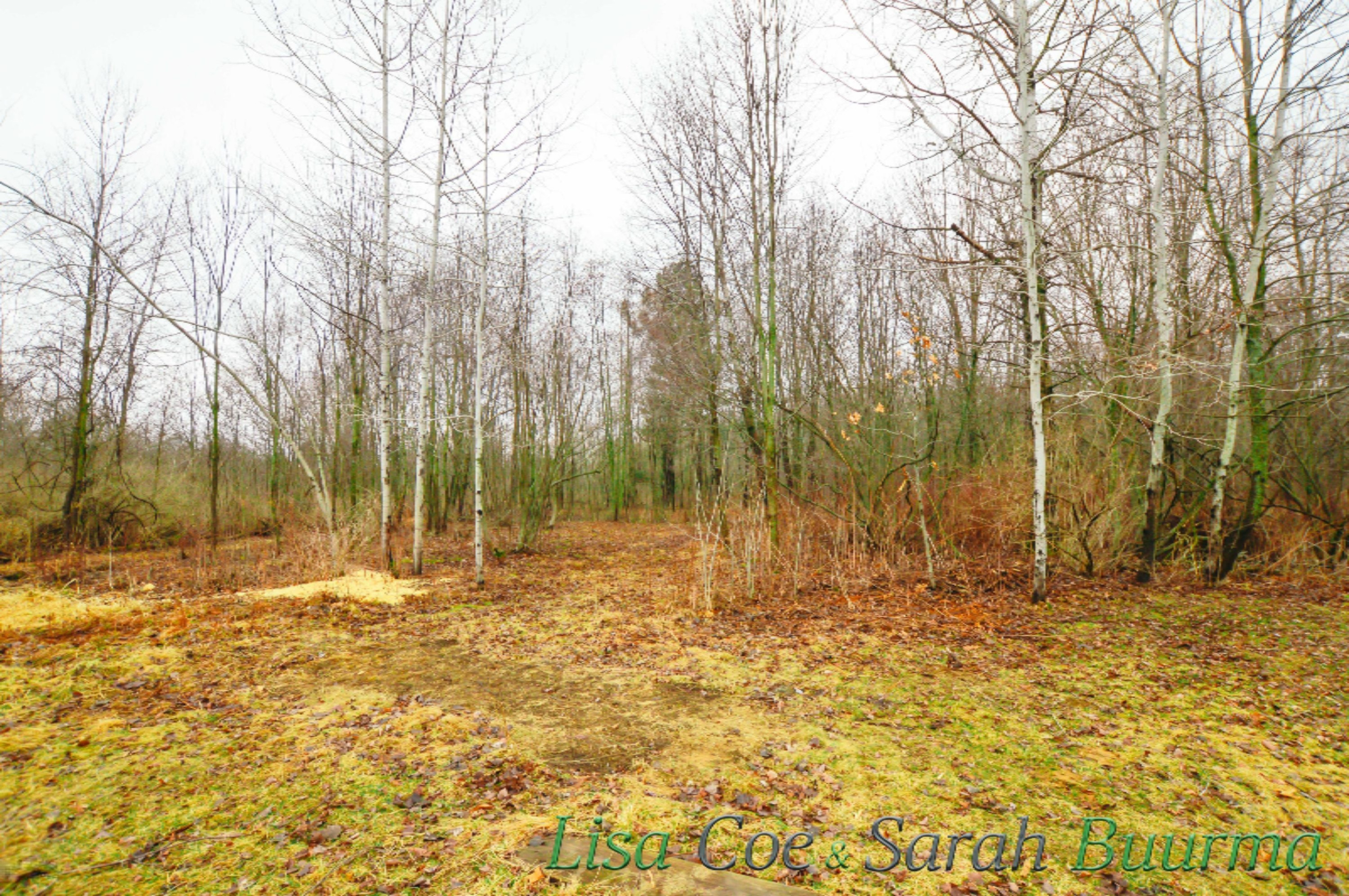 7053 Decker Road Orleans, MI 48865 - Photo 5 of 26 7503 Decker - Lisa Coe _ Sarah Buurma-5