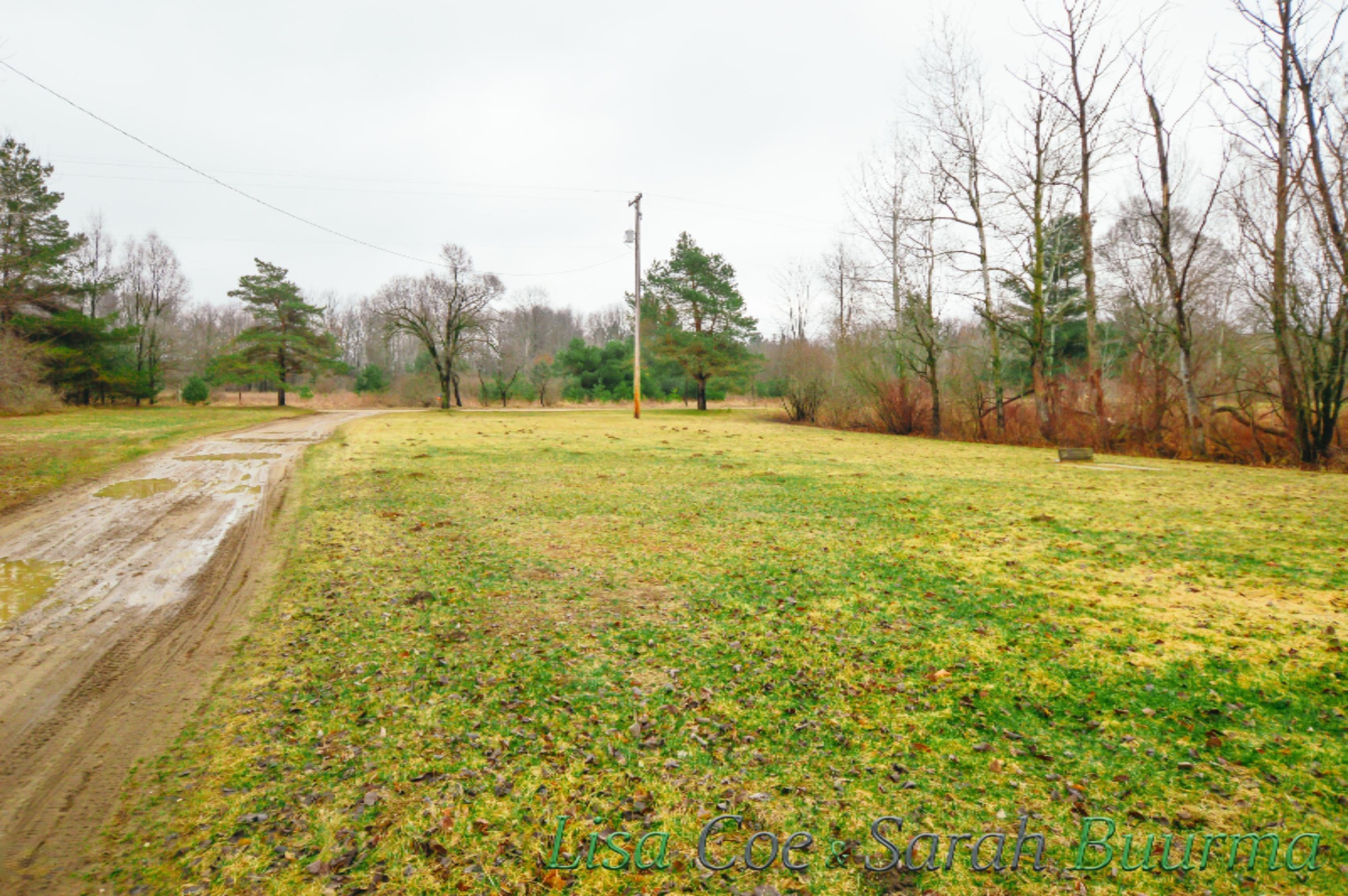 7053 Decker Road Orleans, MI 48865 - Photo 7 of 26 7503 Decker - Lisa Coe _ Sarah Buurma-13