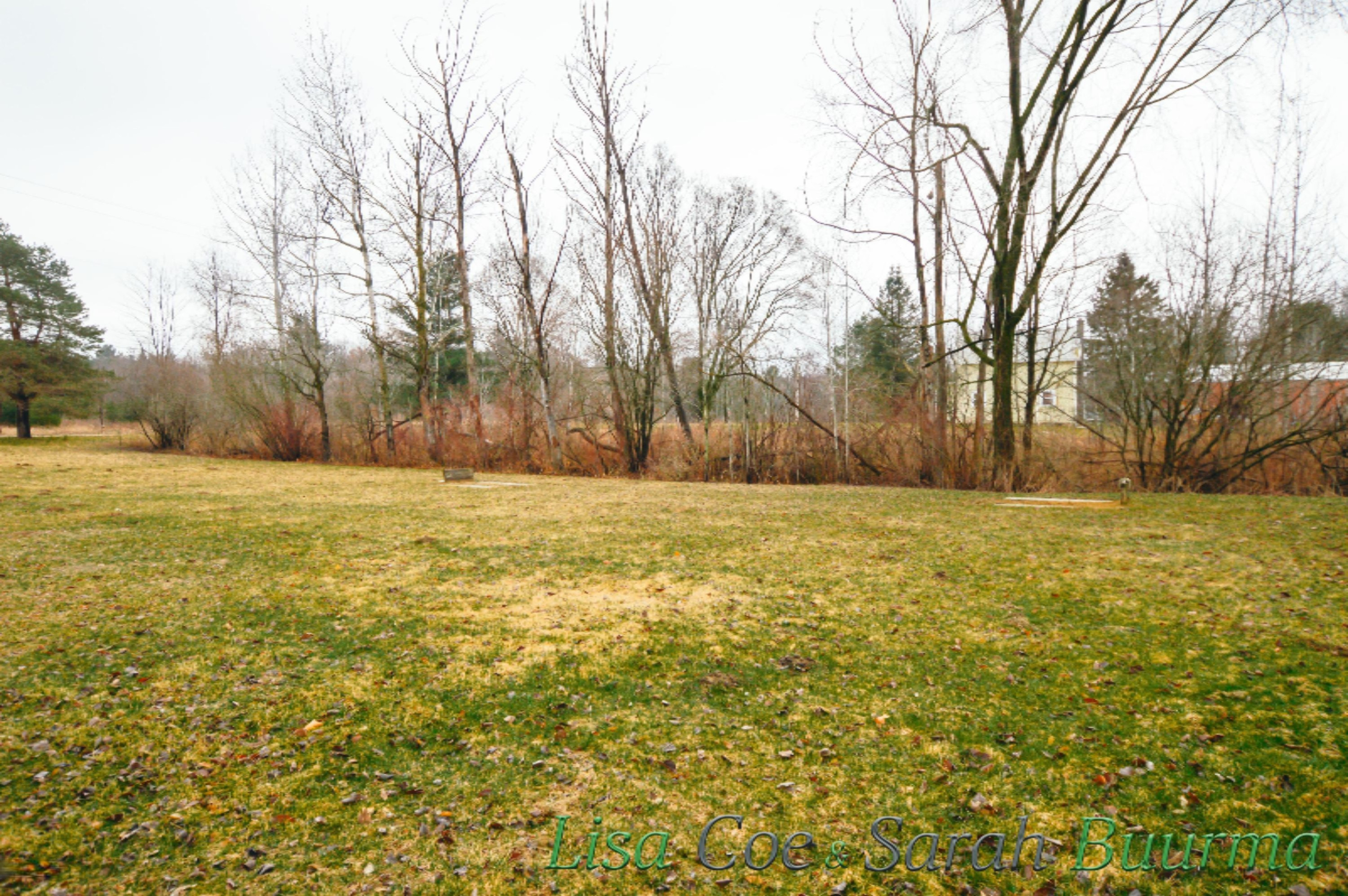 7053 Decker Road Orleans, MI 48865 - Photo 8 of 26 7503 Decker - Lisa Coe _ Sarah Buurma-14
