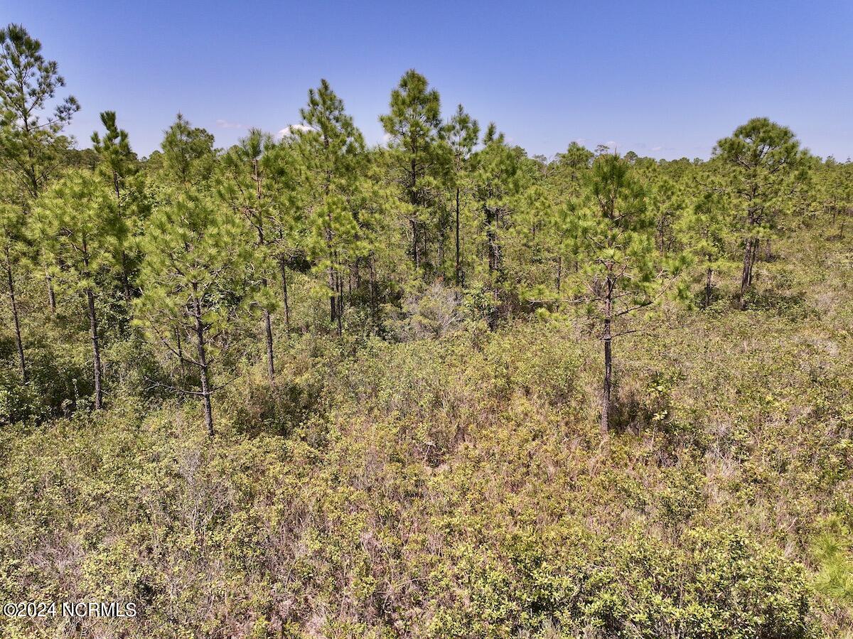 0 George Road Havelock, NC 28532 - Photo 22 of 28 21
