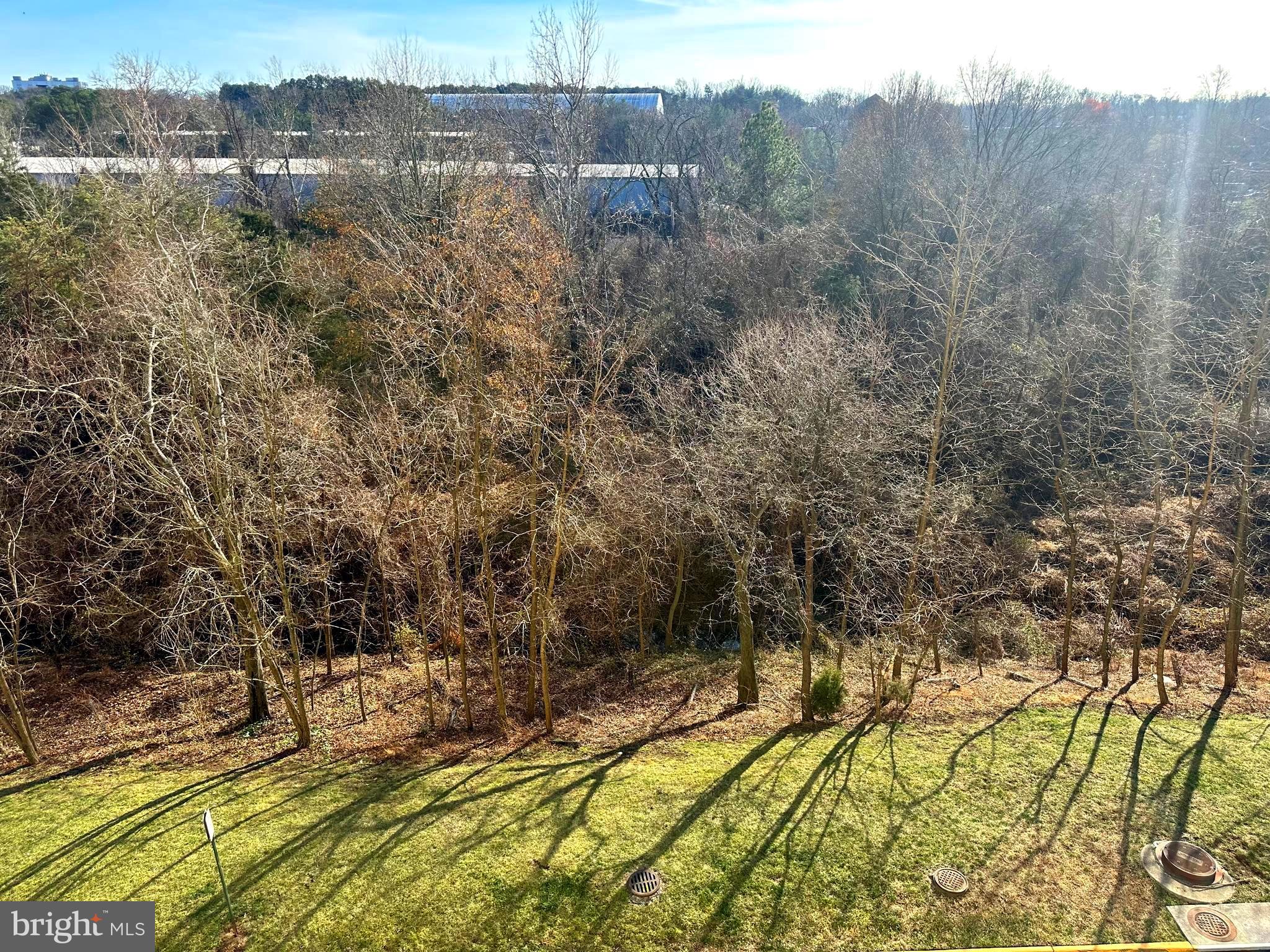6301 Edsall Road, Unit 309 Alexandria, VA 22312 - Photo 21 of 36 View