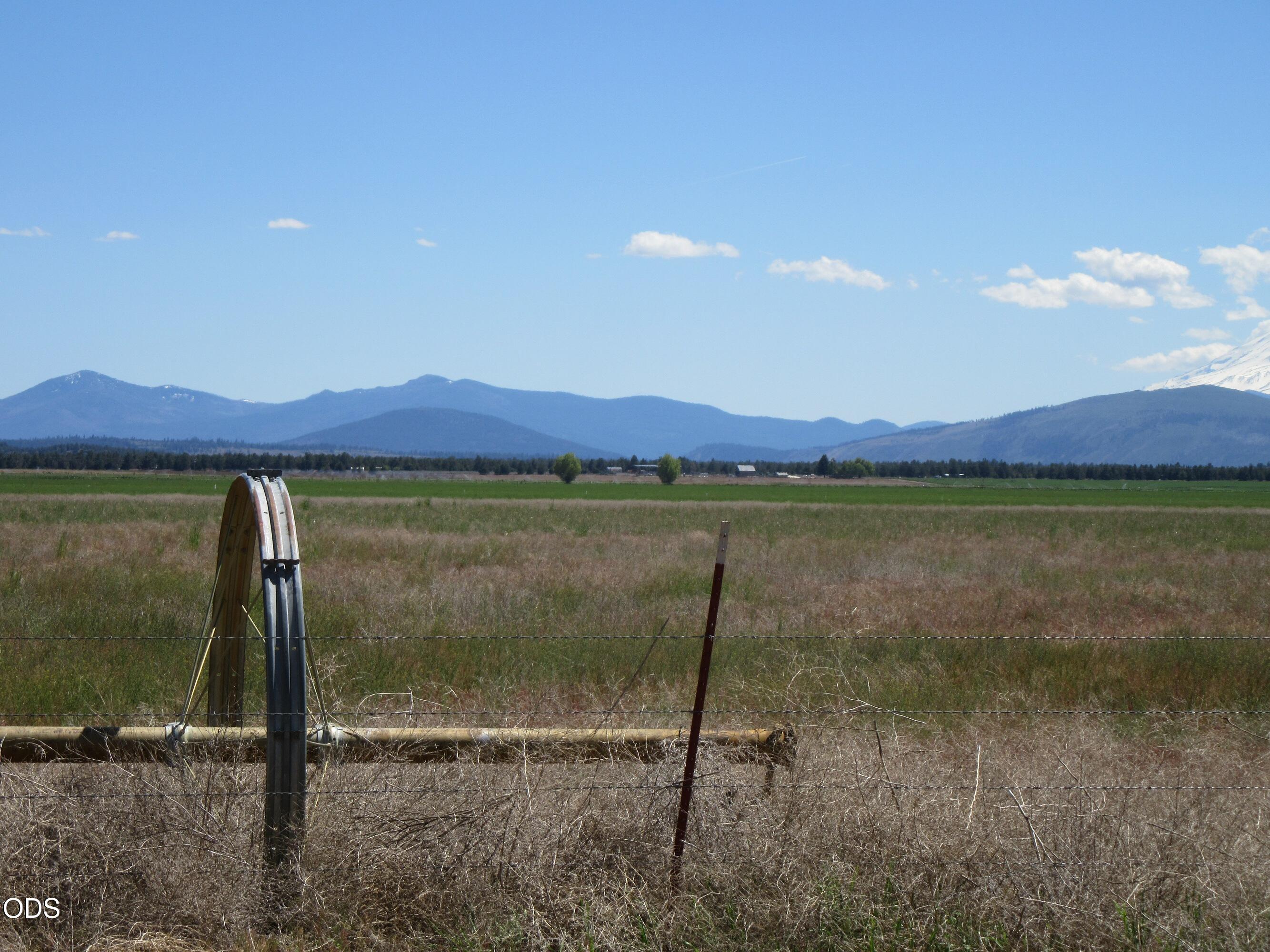 2917 Shady Dell Road Macdoel, CA 96058 - Photo 75 of 77