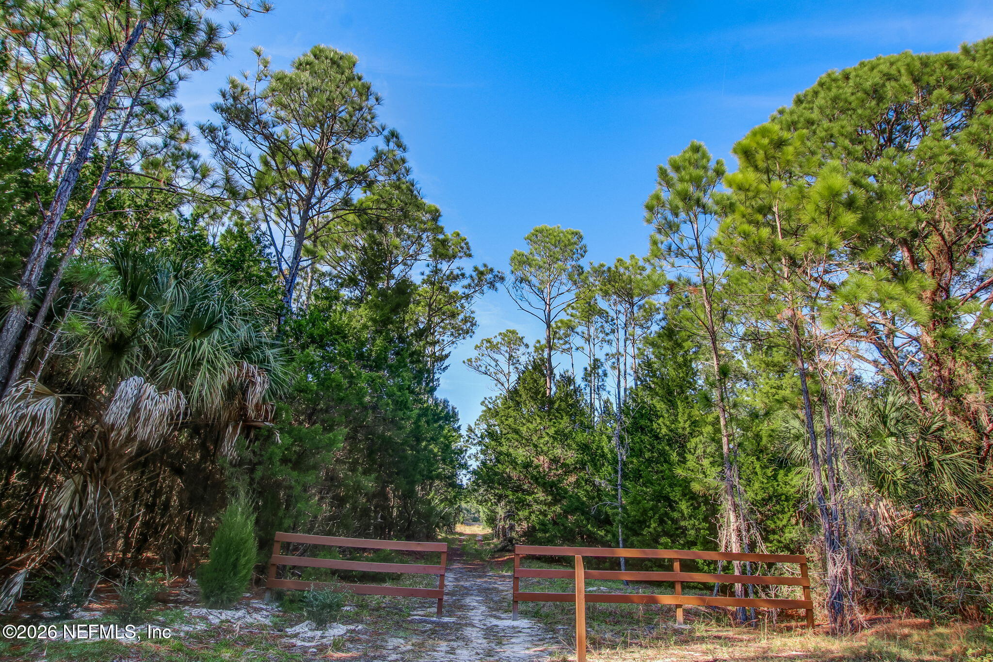 107 Aspendale Road Ponte Vedra, FL 32081 - Photo 93 of 96 Nocatee Kayak Launch