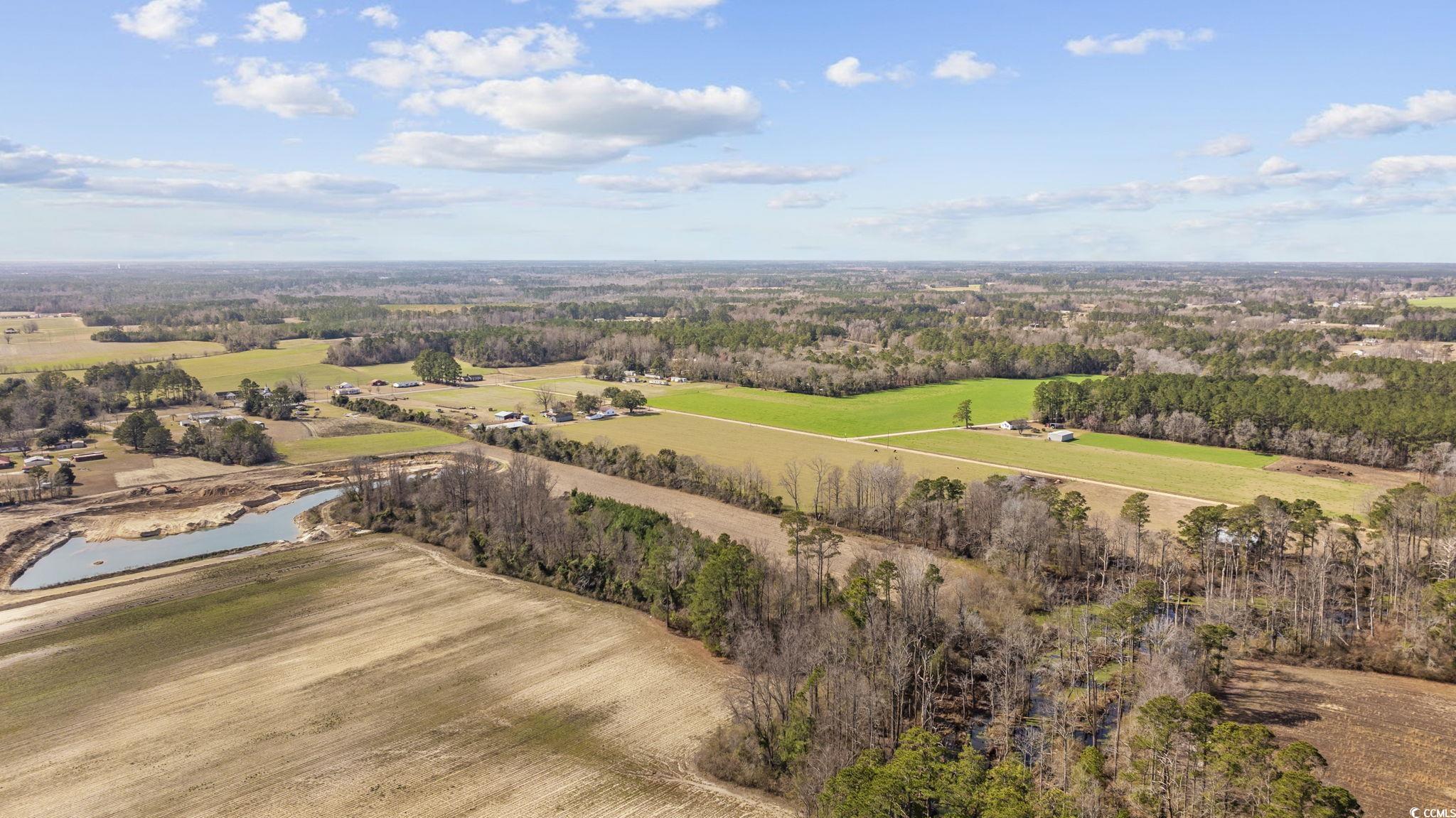 Tbd Gurley Road Loris, SC 29569 - Photo 9 of 22