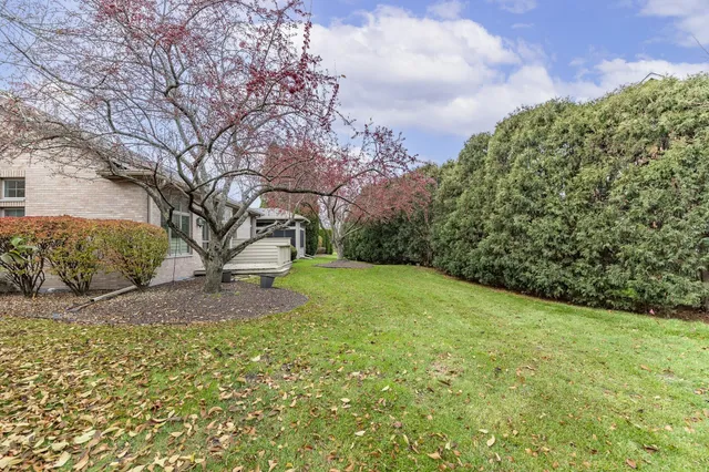 a view of a yard with plants and trees