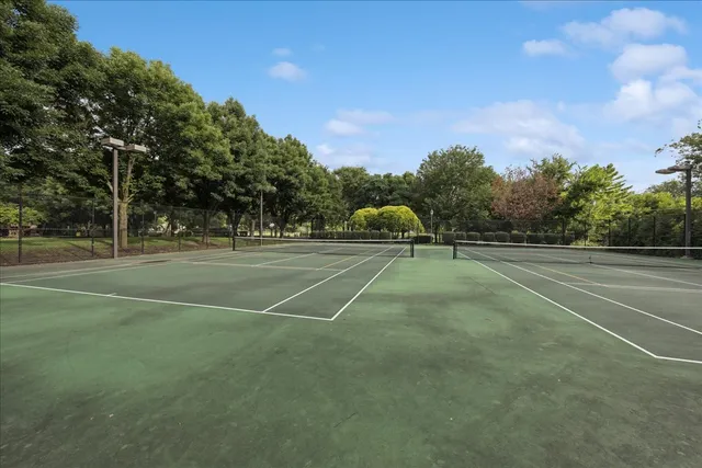 a view of a park with large trees