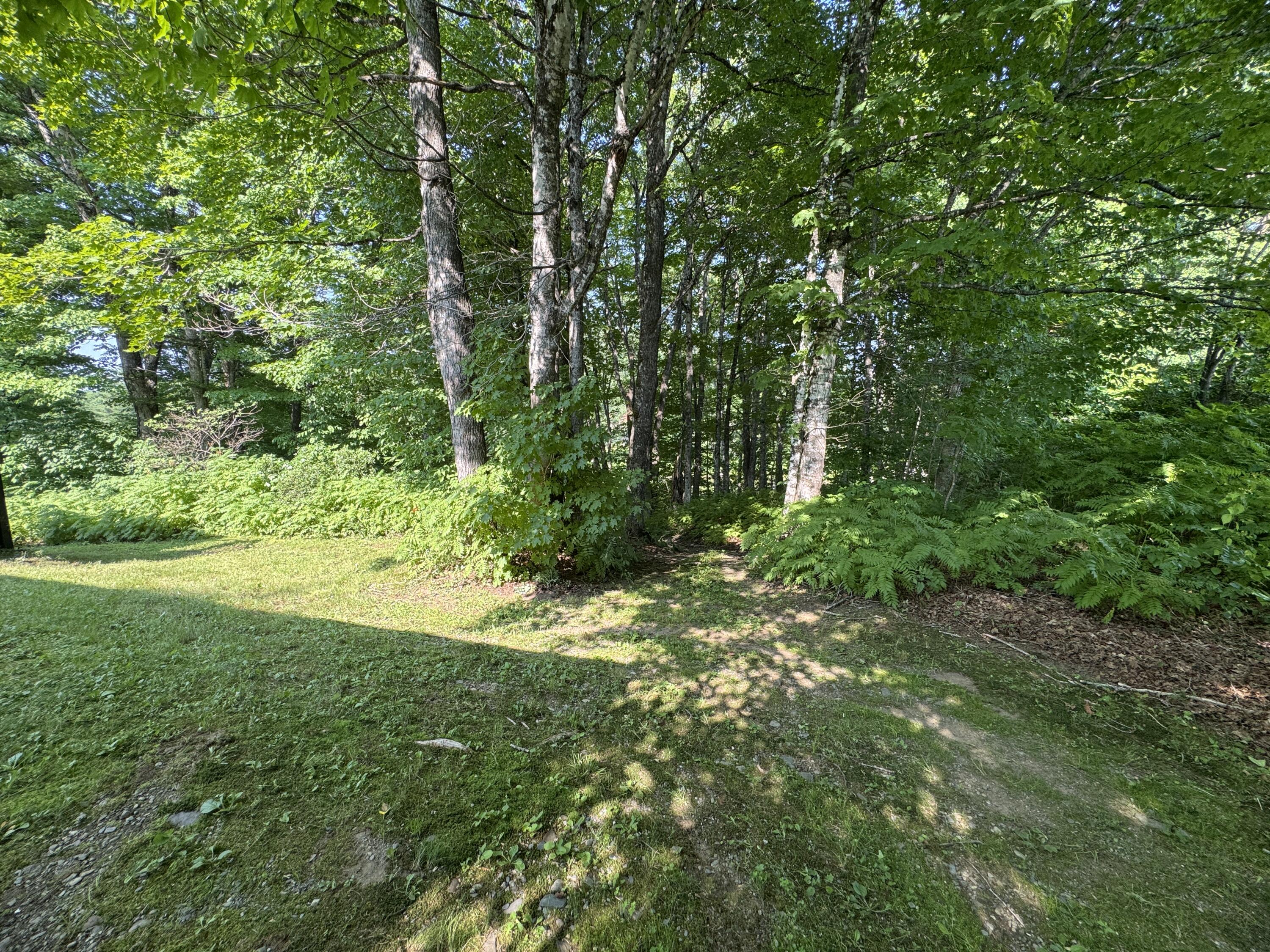 7 Pond Road Abbot, ME 04406 - Photo 64 of 76 IMG_5122