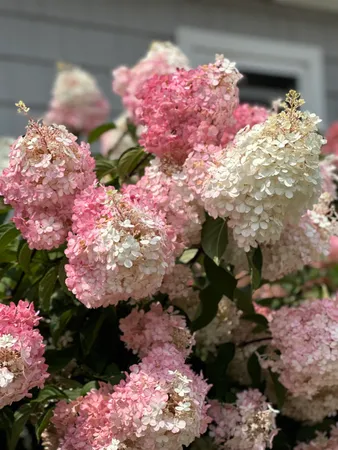 $949,000 | 118 Sawyer Hill Road, Canaan, NH 03741