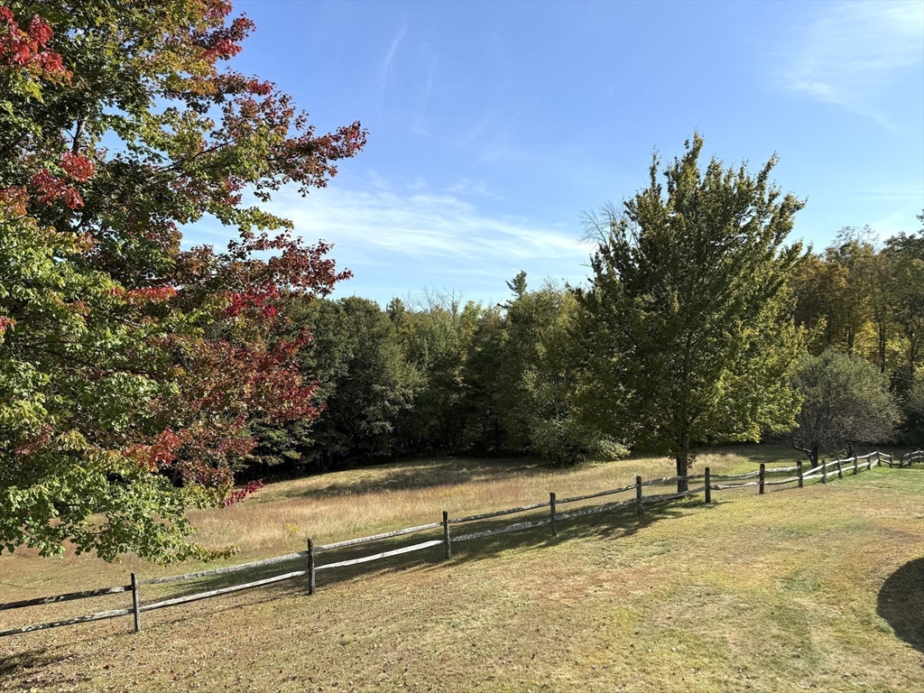 41 Hog Hollow Road Buckland, MA 01370 - Photo 33 of 42 a view of backyard with trees