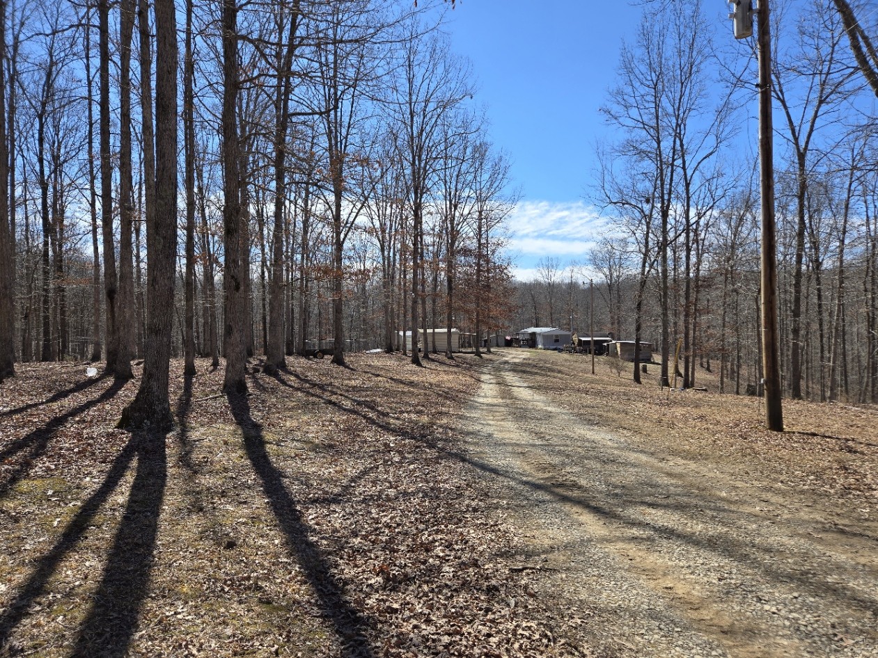 10298 Wilder Point Road Bon Aqua, TN 37025 - Photo 1 of 39