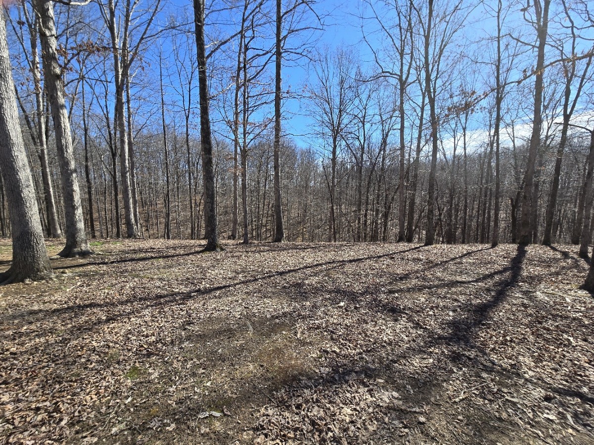 10298 Wilder Point Road Bon Aqua, TN 37025 - Photo 11 of 39