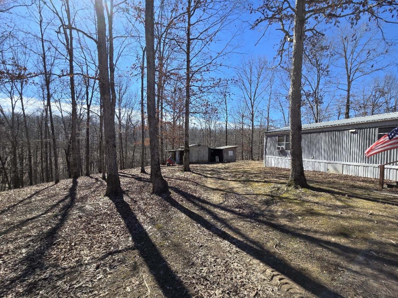 10298 Wilder Point Road Bon Aqua, TN 37025 - Photo 12 of 39