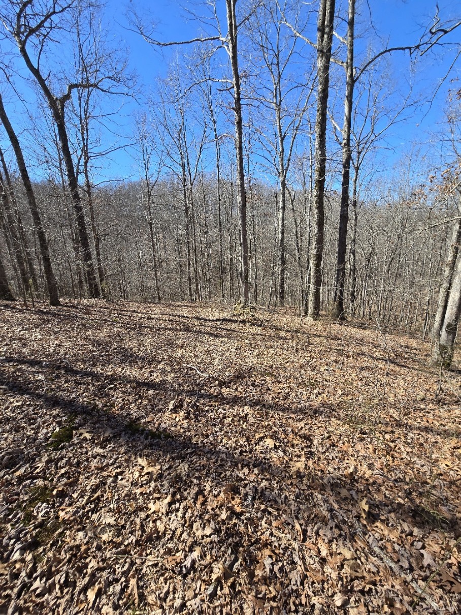 10298 Wilder Point Road Bon Aqua, TN 37025 - Photo 24 of 39