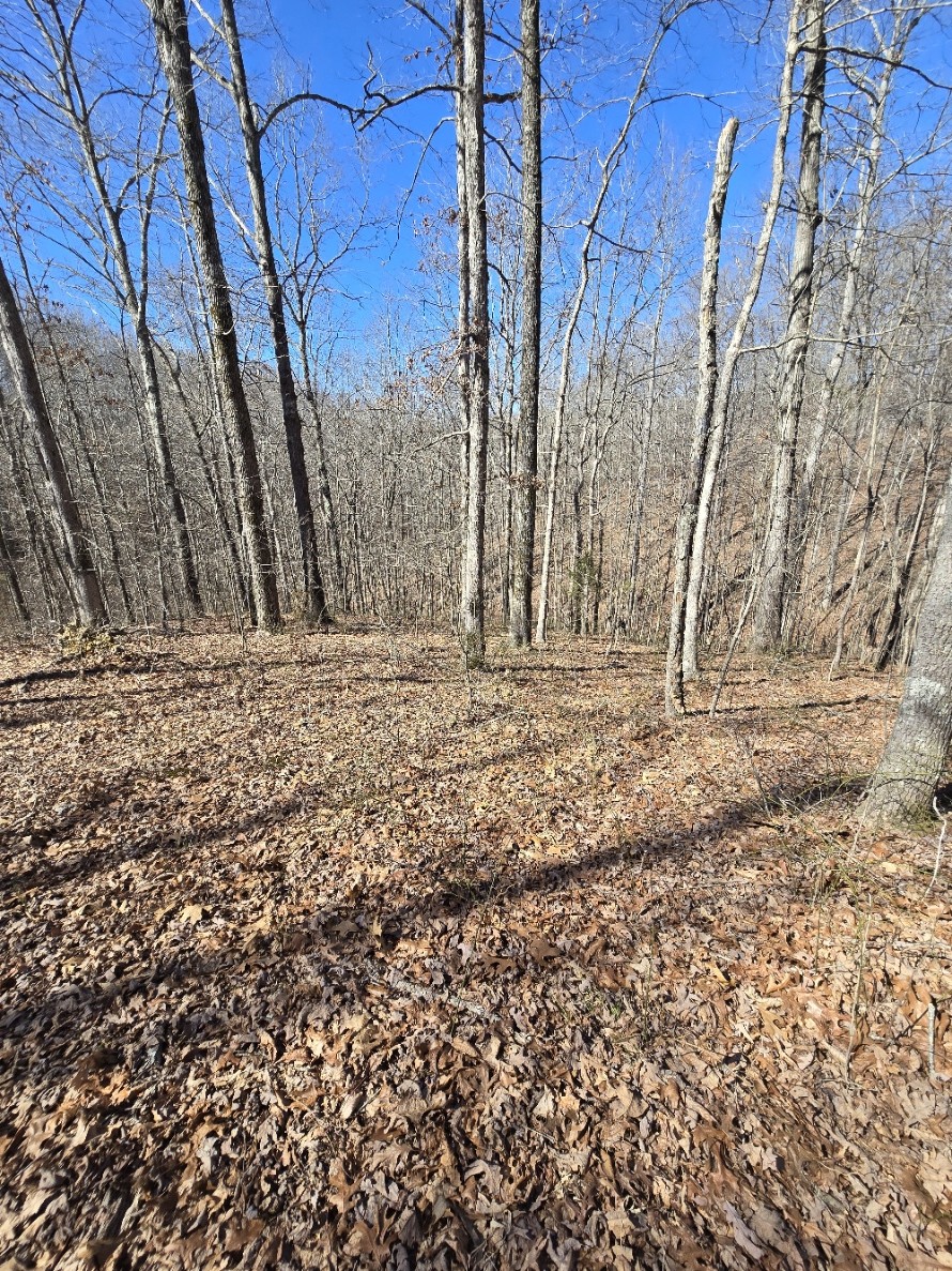 10298 Wilder Point Road Bon Aqua, TN 37025 - Photo 25 of 39