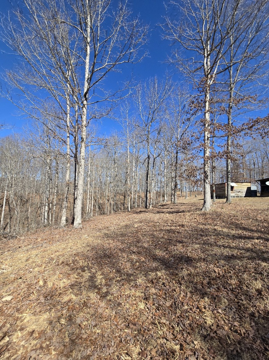 10298 Wilder Point Road Bon Aqua, TN 37025 - Photo 26 of 39