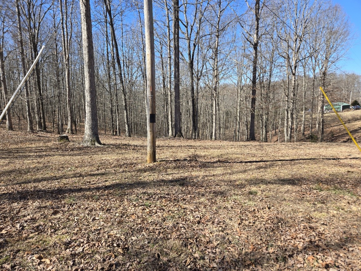 10298 Wilder Point Road Bon Aqua, TN 37025 - Photo 3 of 39