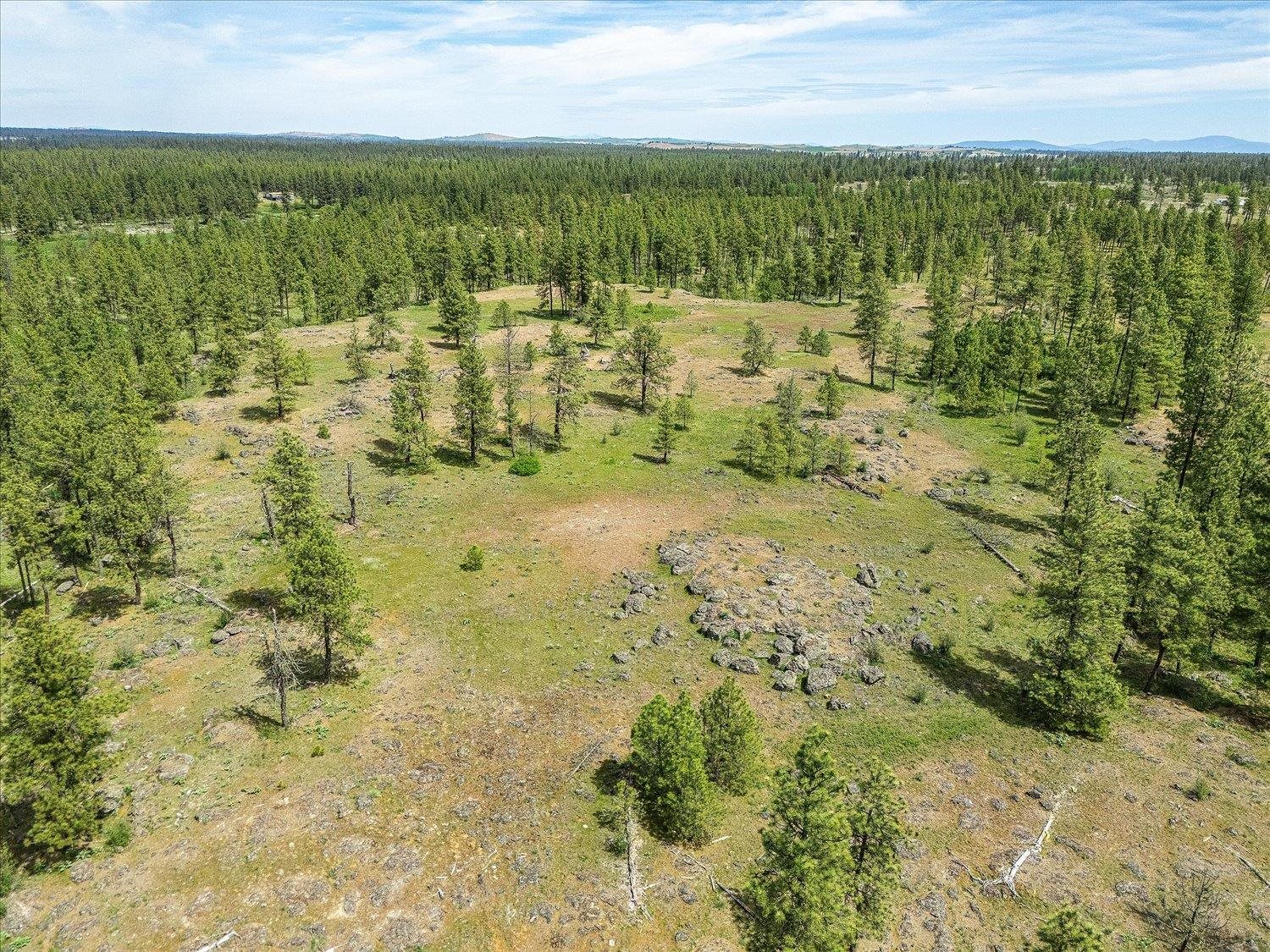23755 South Ritchey Road Cheney, WA 99004 - Photo 15 of 34