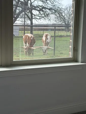 $680,000 | 294 County Road 3386, Paradise, TX 76073