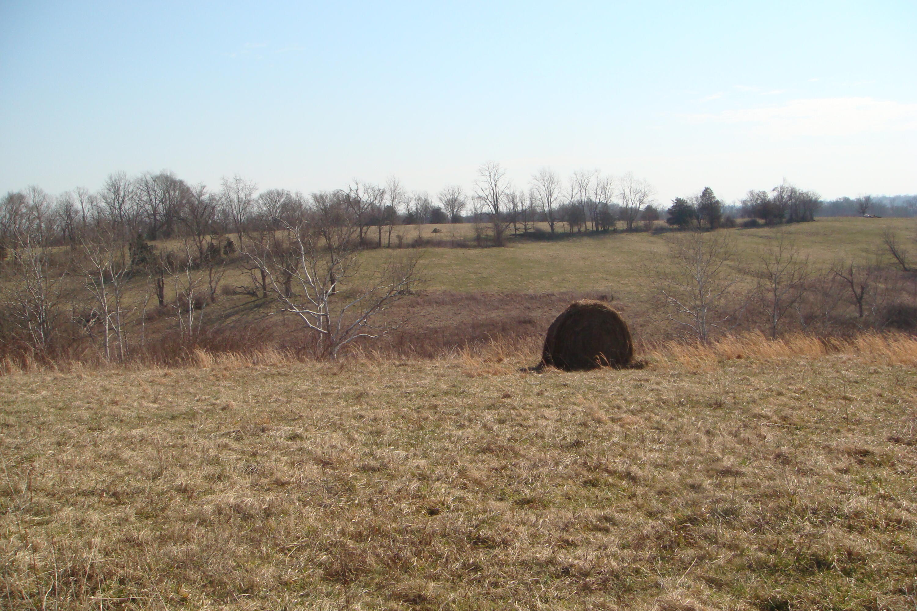 4037 Howards Mill Road Mount Sterling, KY 40353 - Photo 8 of 26 DSC07565