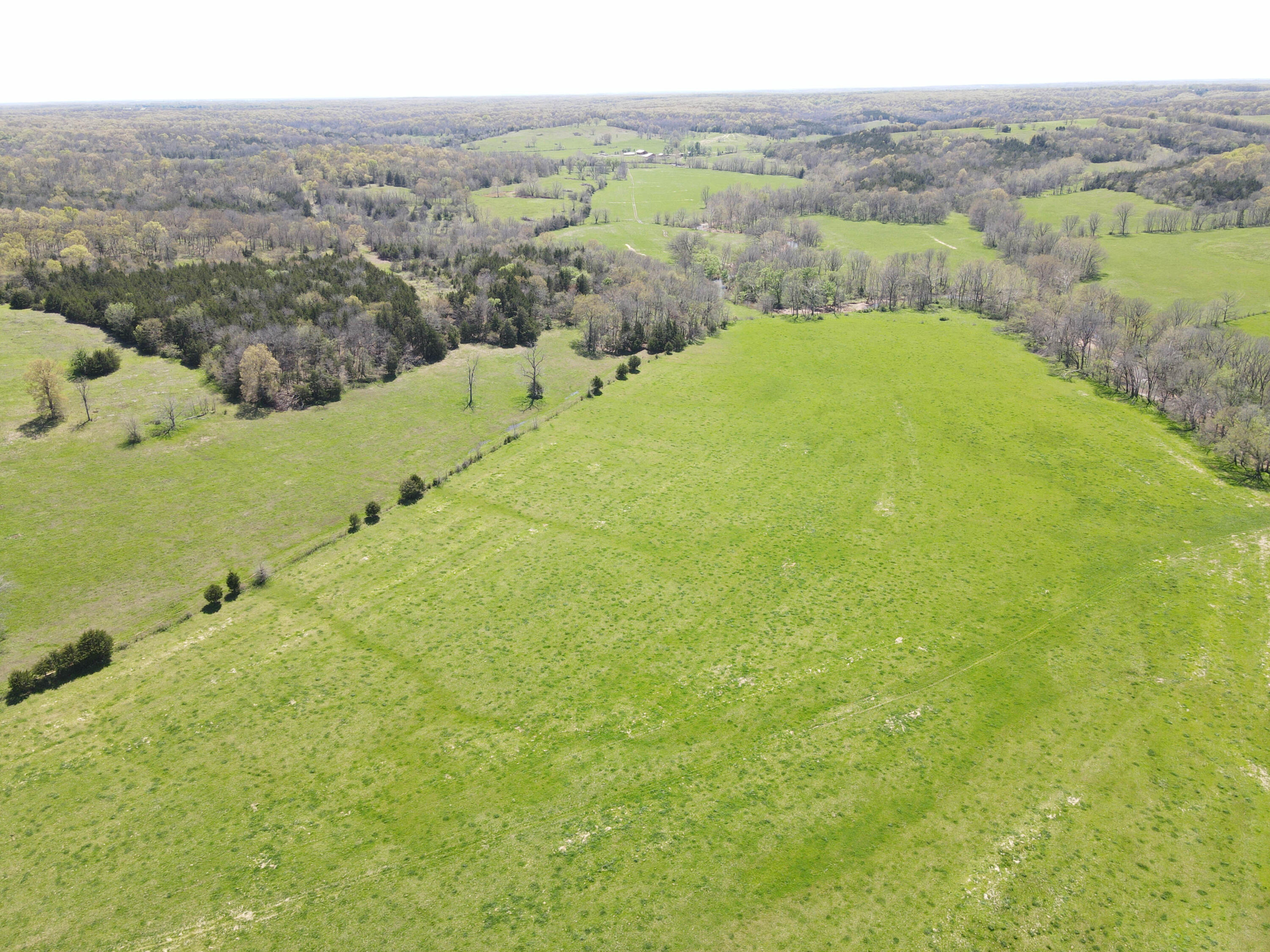 1602 Northeast 1289th Road Osceola, MO 64776 - Photo 2 of 78 DJI_0688