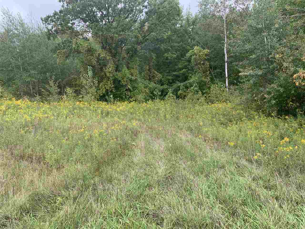 4846 Roehrs Road Beaverton, MI 48612 - Photo 1 of 1